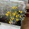 Meadow Berry Spray ( Yellow ) 13", Set of 4 - Home Floral Décor - Holiday Tree